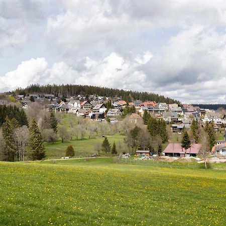 Ferienwohnung Sohnrey Titisee-Neustadt Dış mekan fotoğraf