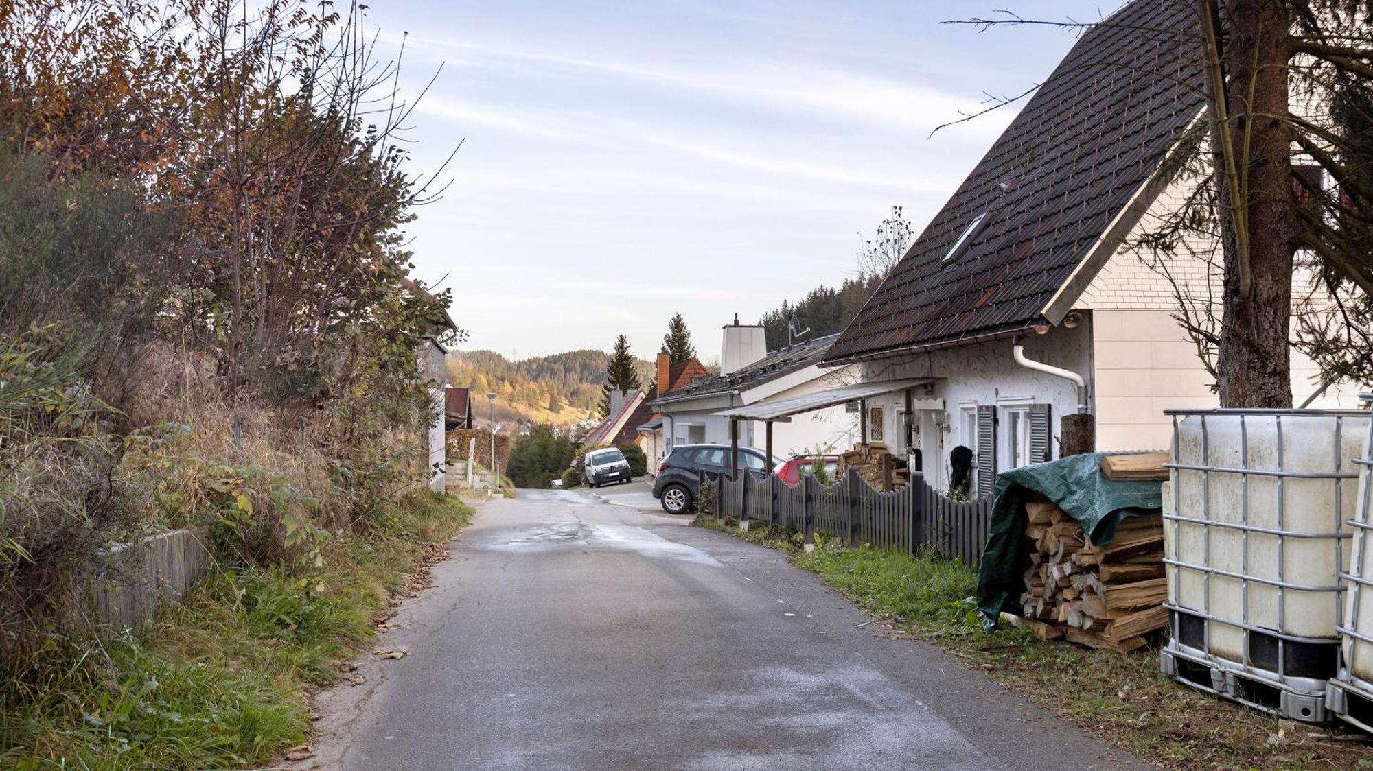Ferienwohnung Sohnrey Titisee-Neustadt Dış mekan fotoğraf